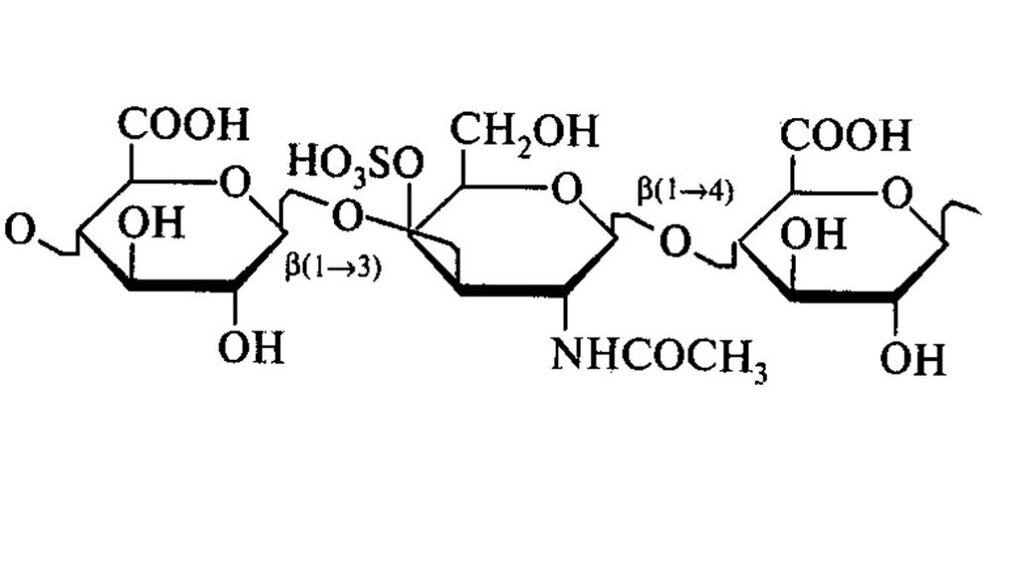 Chondroityna w Osteflex