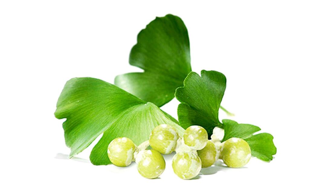 Ginkgo biloba w Osteflex